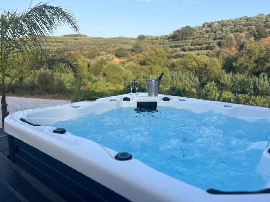 Ek Ornelakis, Luxury Country House With Jacuzzi 하니아 외부 사진